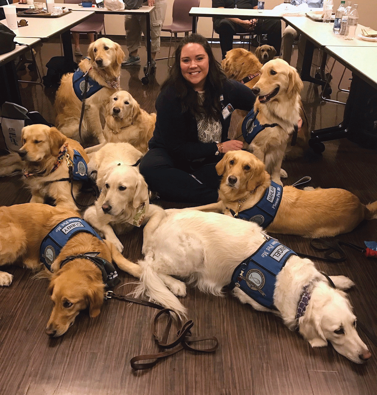 Woman surrounded by comfort dogs