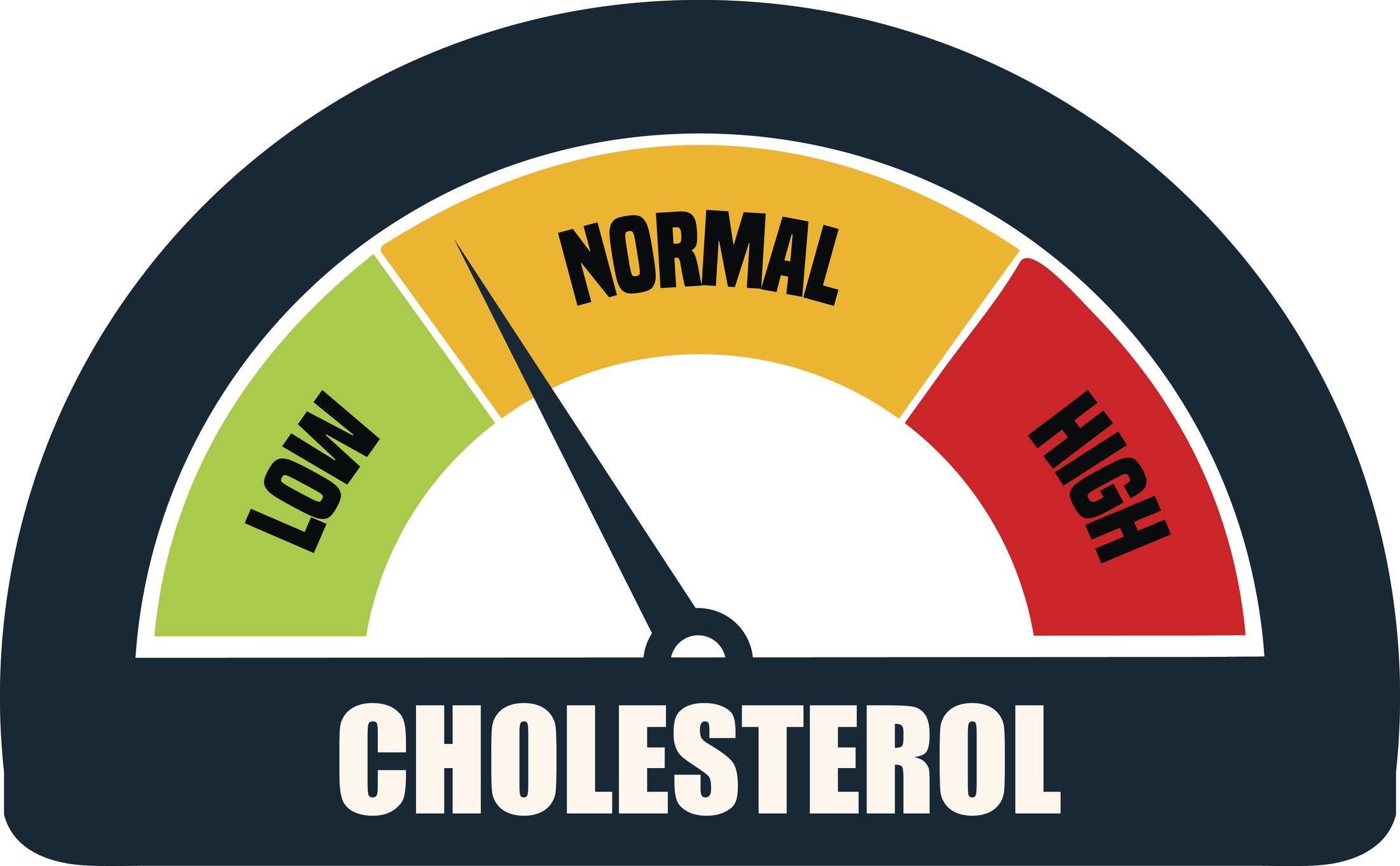 Female Cholesterol Chart