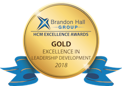 Logo for Brandon Hall Group HCM Excellence Awards Gold Excellence in Leadership Development