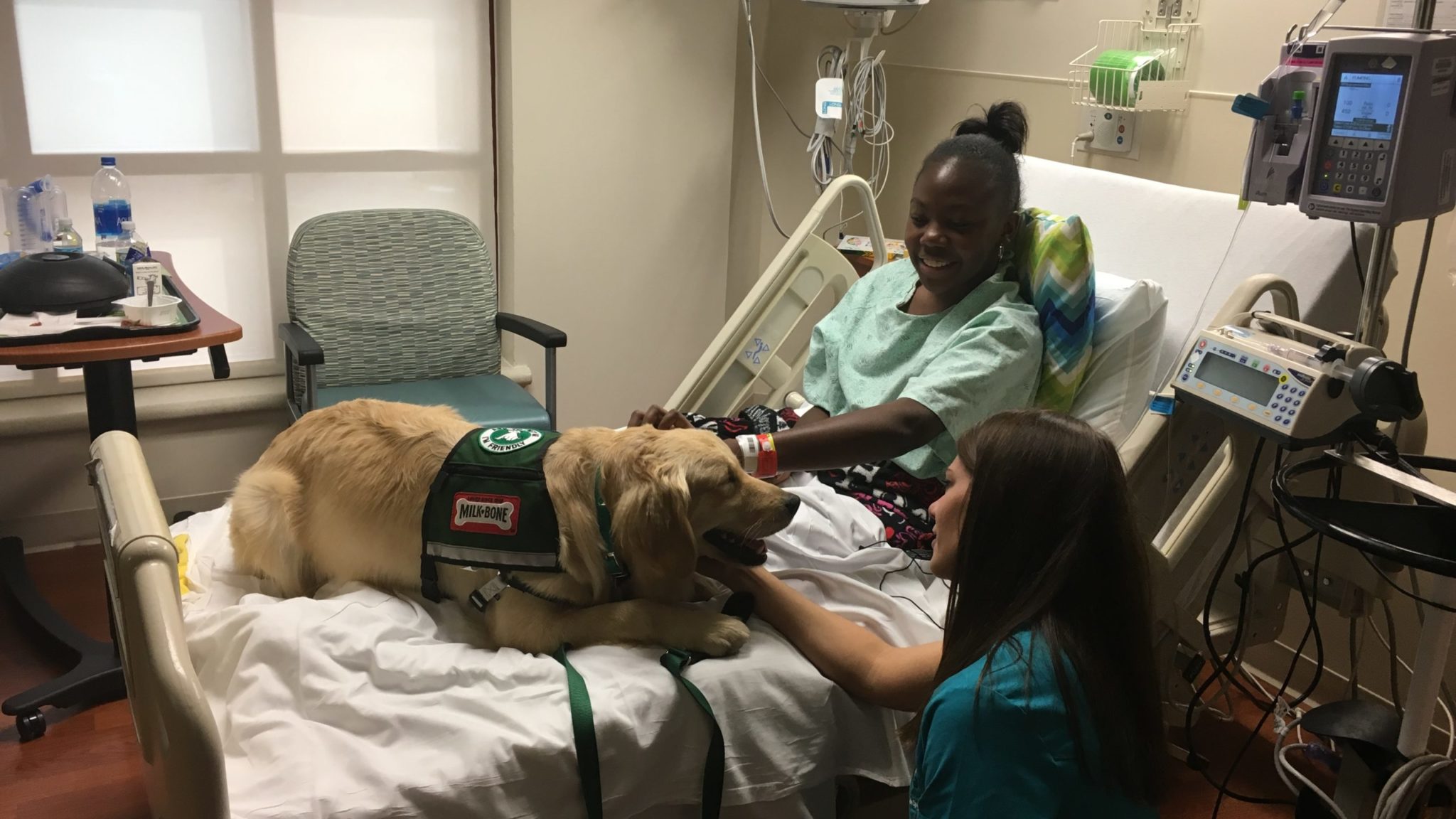 Facility Dog Hazel Puts Patients At Ease At Methodist Children's ...