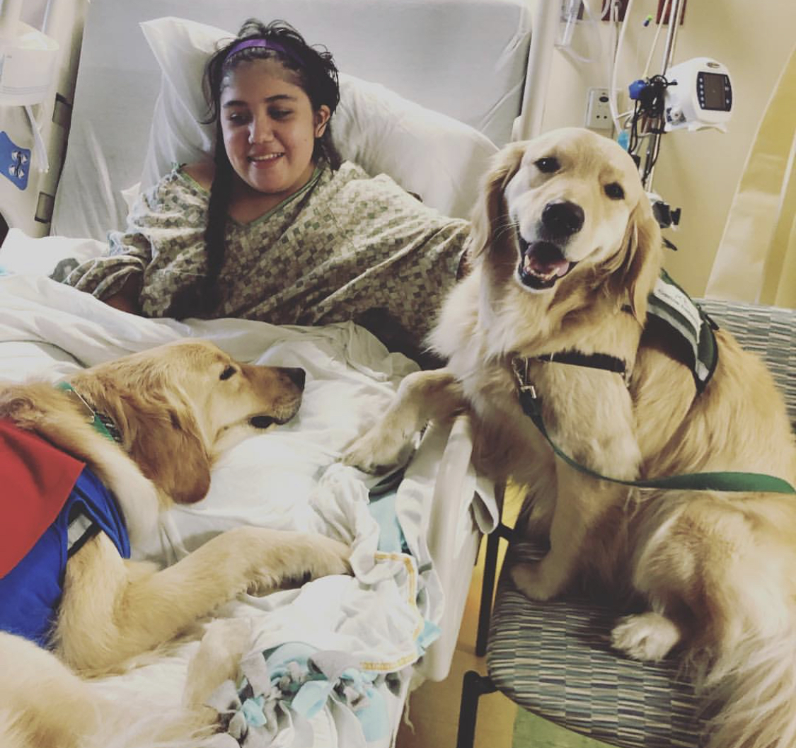 HCA Healthcare unleashes the healing power of animals - HCA Healthcare Today