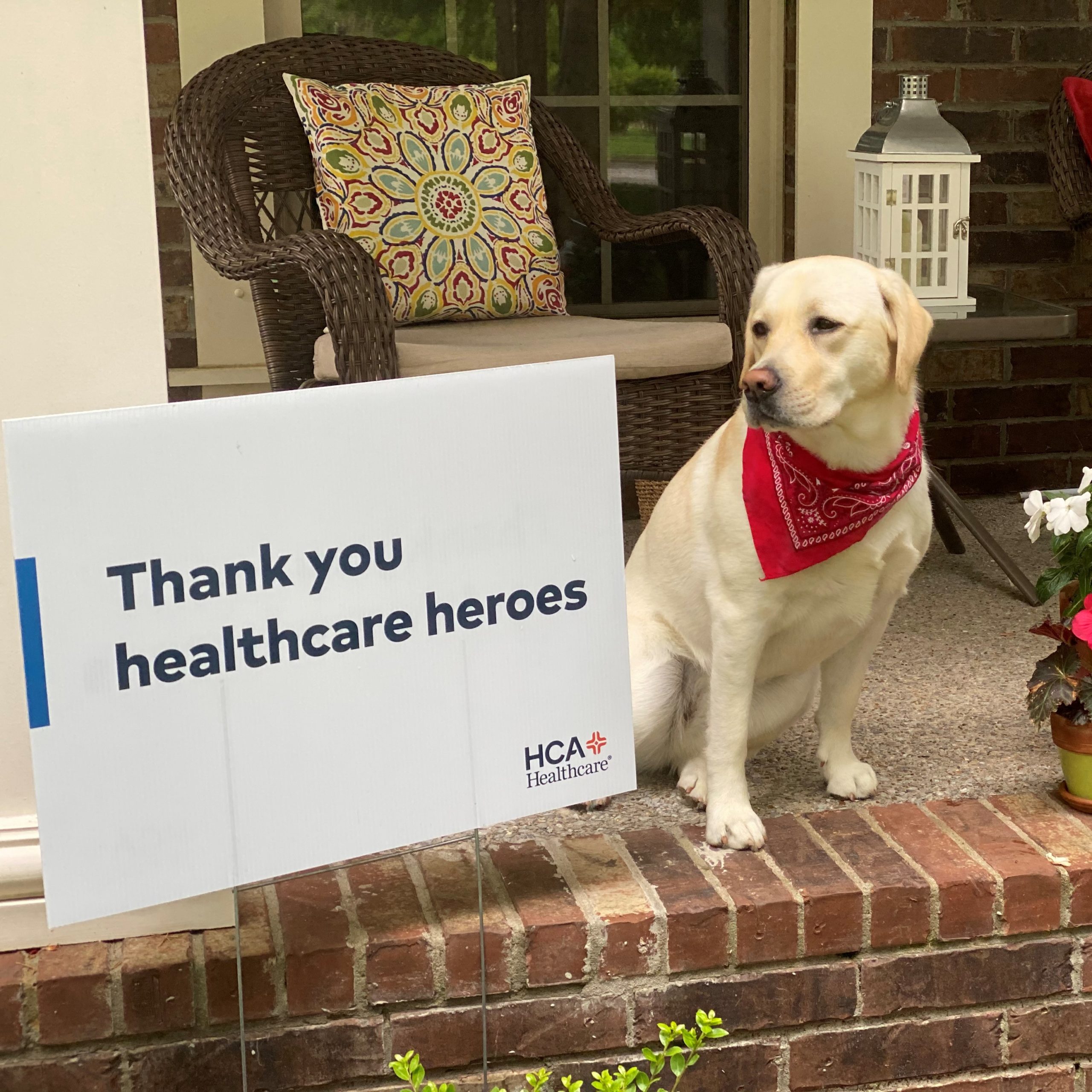 A dog sitting next to a sign that says thank you healthcare heroes